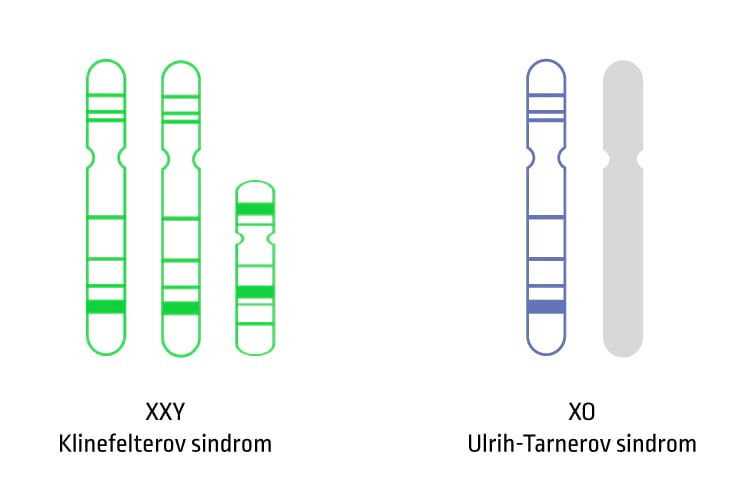 Informacije o poremećajima hromozoma X/Y